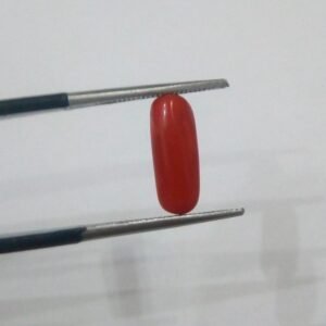Natural Coral 2.15 CRT Loose Gemstone