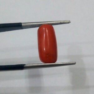 Natural Marjan 4.15 CRT Loose Gemstone