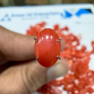 Natural Italian Coral Marjan Stone 1.25 CRT