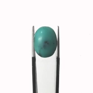 Natural Shajri Stone 12.15 CRT