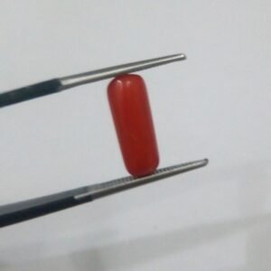 Natural Marjan 2.70 CRT Loose Gemstone