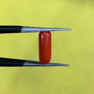 Natural Coral Stone 3.45 CRT Original Red Marjan