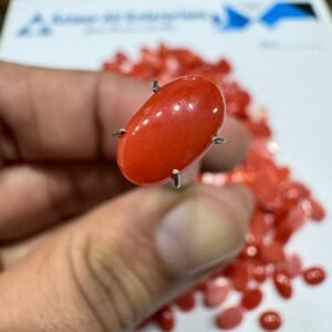 Natural Italian Coral Marjan Stone 1.95 CRT