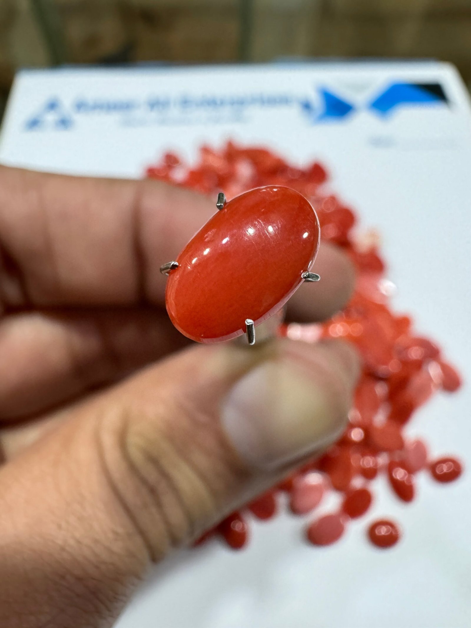 Natural Italian Coral Marjan Stone 1.95 CRT