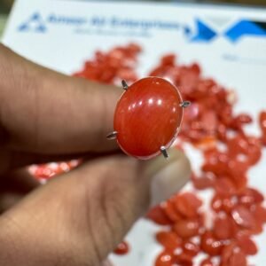 Natural Italian Coral Marjan Stone 1.65 CRT