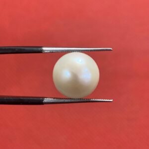 Natural Pearl Stone (Moti) 9.40ct