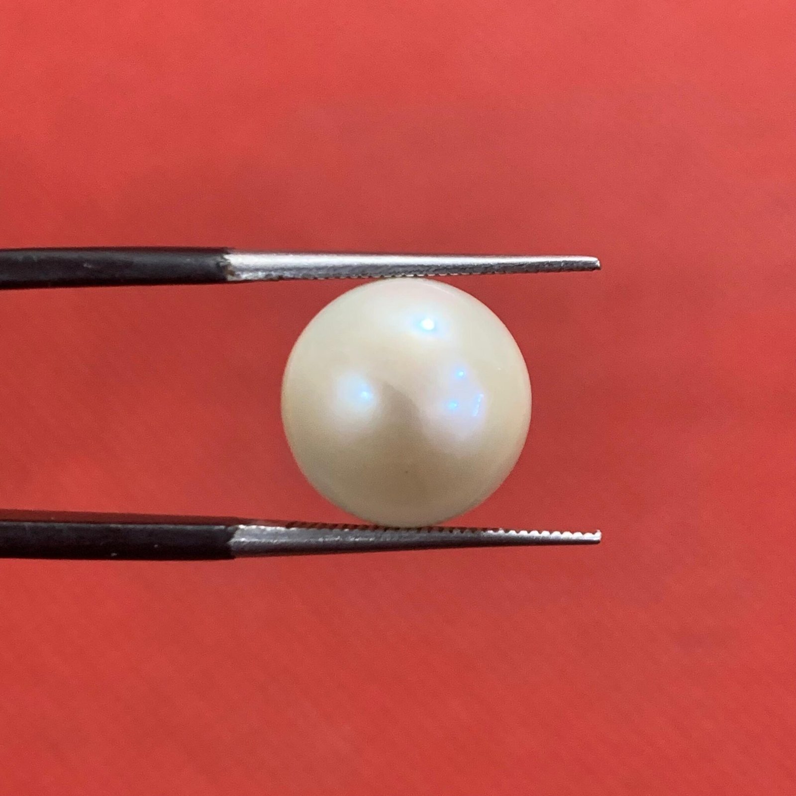 Natural Pearl Stone (Moti) 9.40ct
