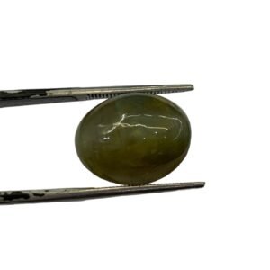 Natural Cat's Eye Gemstone (Lehsunia) - 12.65 CRT