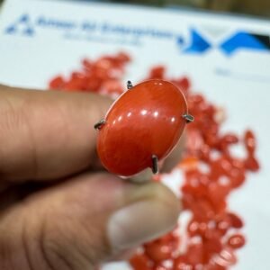 Natural Italian Coral Marjan Stone 1.4 CRT