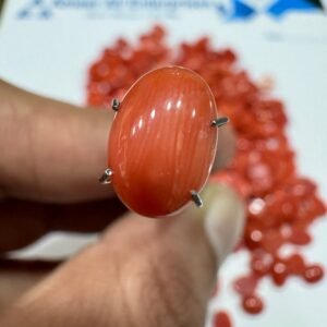 Natural Italian Coral Marjan Stone 2.3 CRT