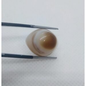 Eye Agate Stone - 19.45 CRT