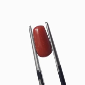 Natural Coral Stone 2.50 CRT Original Red Marjan