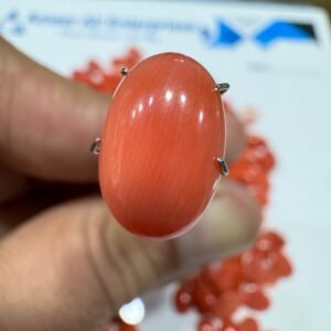 Natural Italian Coral Marjan Stone 4 CRT