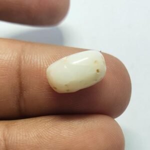 100 % Original Netural White Coral Marjan Gemstone 4.5