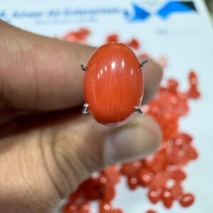 Natural Italian Coral Marjan Stone 2.3 CRT