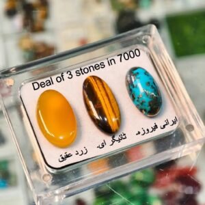 Deal of 4 Gemstones Marjan Coral, Firoza Turquoise,