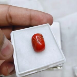 Original Natural italian Red Coral Marjan Gemstone