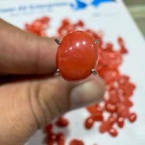 Natural Italian Coral Marjan Stone 1.75 CRT