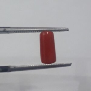 Natural Marjan 1.20 CRT Loose Gemstone
