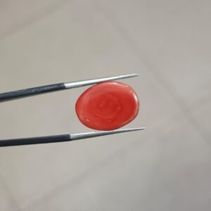 Natural Oval Coral 5.60 CRT Loose Gemstone