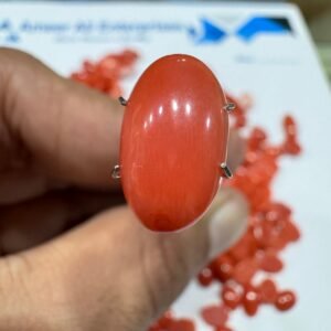Natural Italian Coral Marjan Stone 4.2 CRT