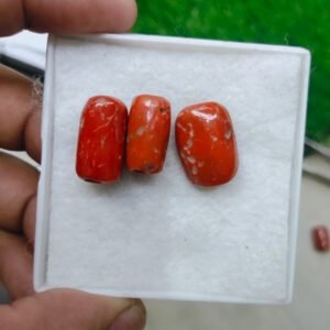 Original Natural italian Red Coral Marjan (مونگا،