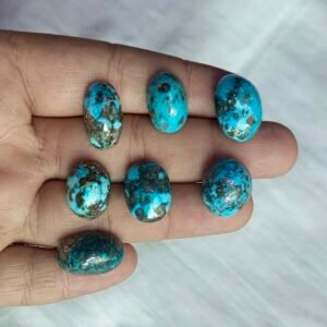 Irani Shajri Feroza Stone ≈4.0g Medium–Large Size