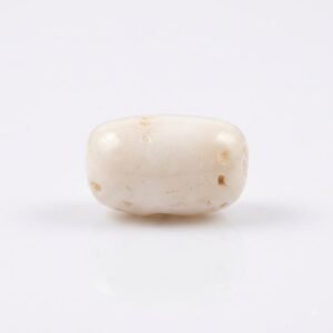 Original Netural White Coral Marjan - Gemstone Hub
