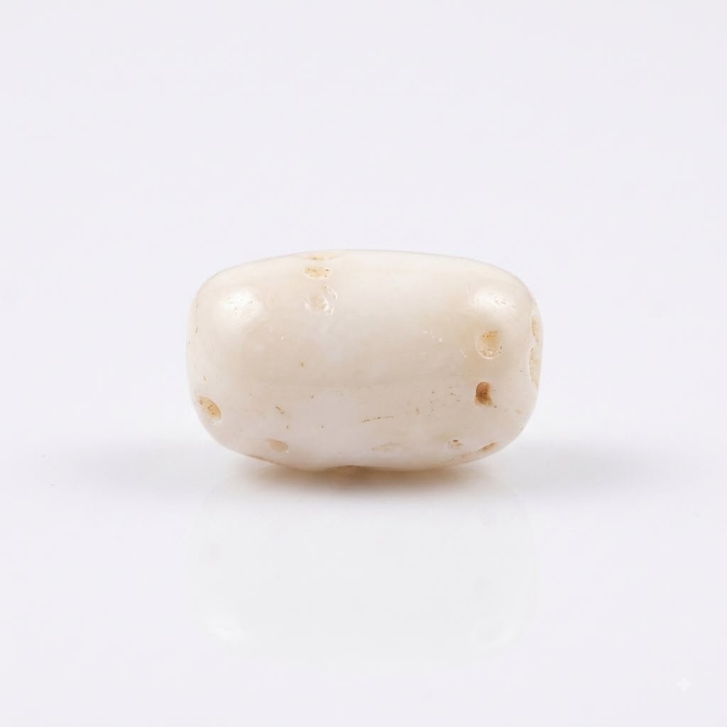 Original Netural White Coral Marjan - Gemstone Hub