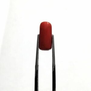 Natural Coral Stone 4.20 CRT Original Red Marjan