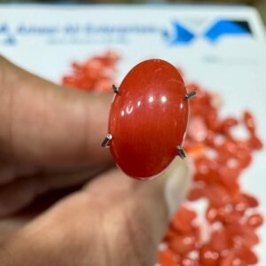 Natural Italian Coral Marjan Stone 1.7 CRT
