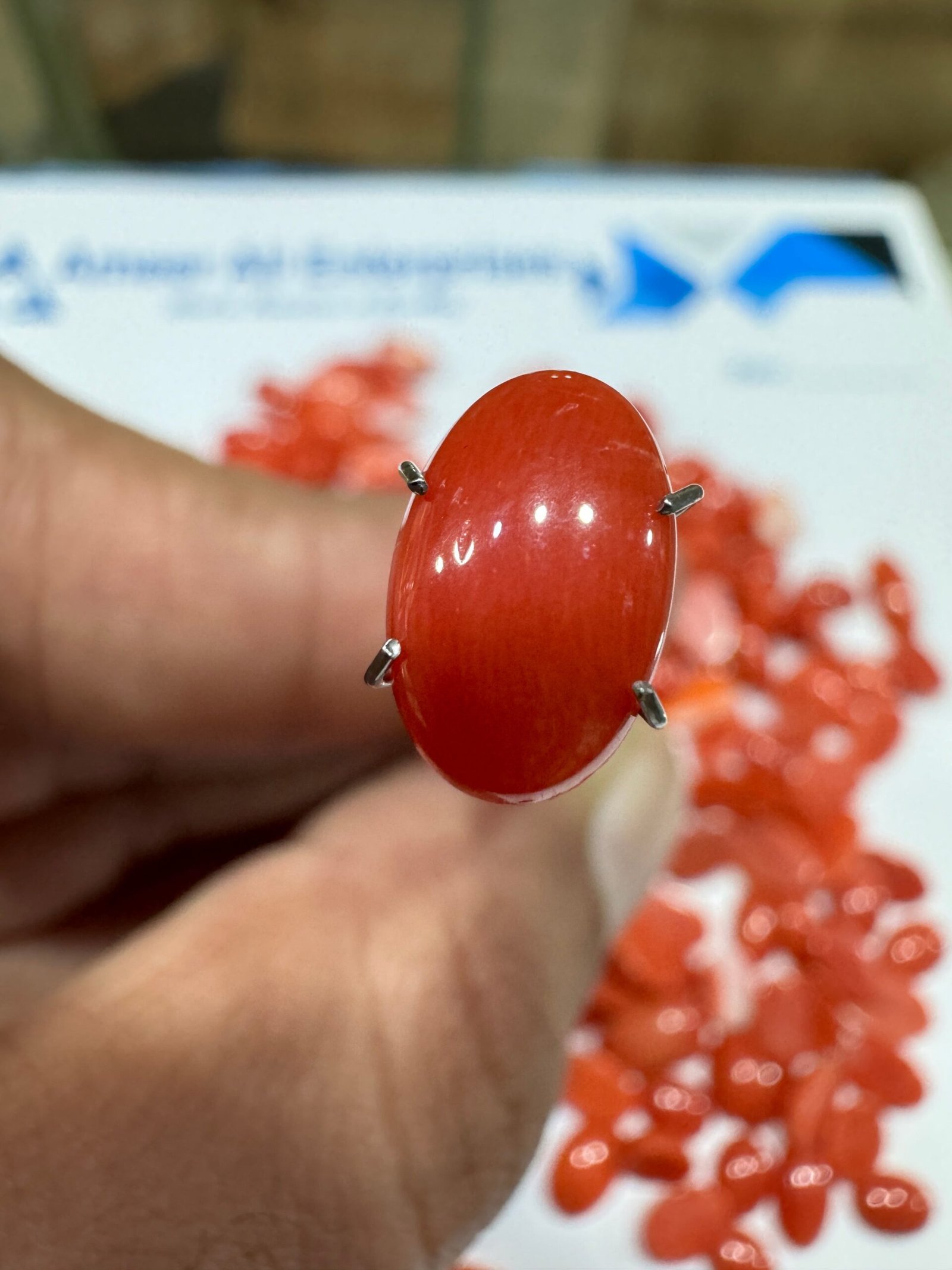 Natural Italian Coral Marjan Stone 1.7 CRT