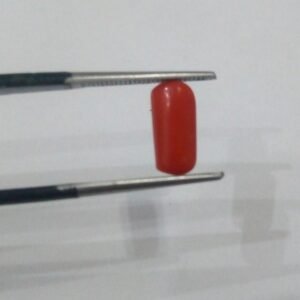 Natural Marjan 2.10 CRT Loose Gemstone