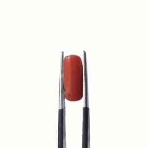 Natural Coral Stone 3.90 CRT Original Red Marjan