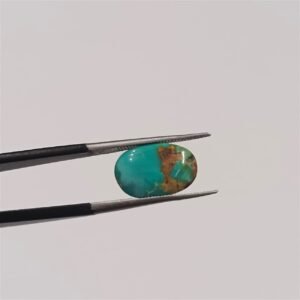 Natural Nishapuri Stone 2.70 CRT