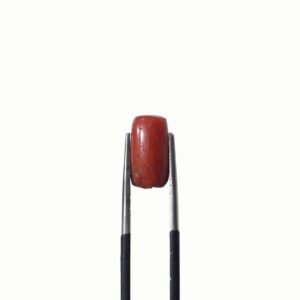 Natural Coral Stone 3.50 CRT Original Red Marjan