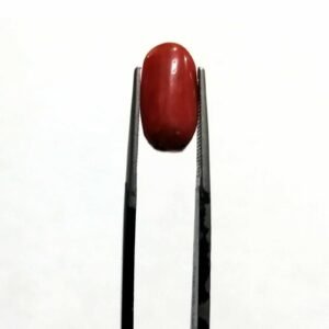 Natural Coral Stone 4.00 CRT Original Red Marjan