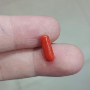 Natural Coral 2.30 CRT - A Loose Gemstone