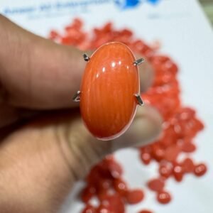 Natural Italian Coral Marjan Stone 2.1 CRT