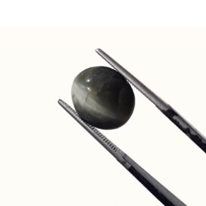 Natural Cat's Eye Stone (Lehsunia) 6.50 CRT Certified