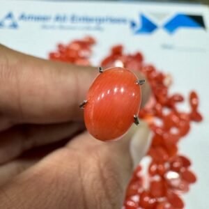 Natural Italian Coral Marjan Stone 1.85 CRT