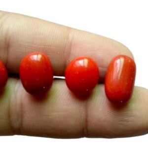 Red Marjan Coral Gemstone ≈1.6g–3.0g Small–Medium Size