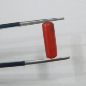 Natural Coral 2.55 CRT Loose Gemstone