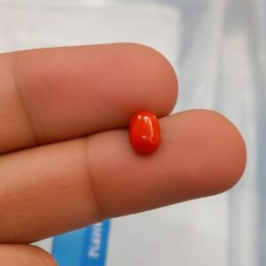 Red Coral (Marjan) Stone ️ 100% Natural Gem Certified