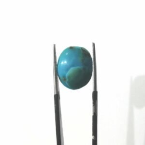 Natural Shajri Stone 5.60 CRT