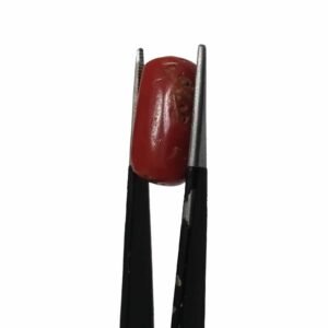 Natural Coral Stone 11.50 CRT Original Red Marjan