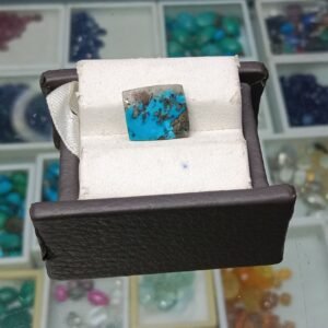 100 % Original Nisha Puri Feroza Stone