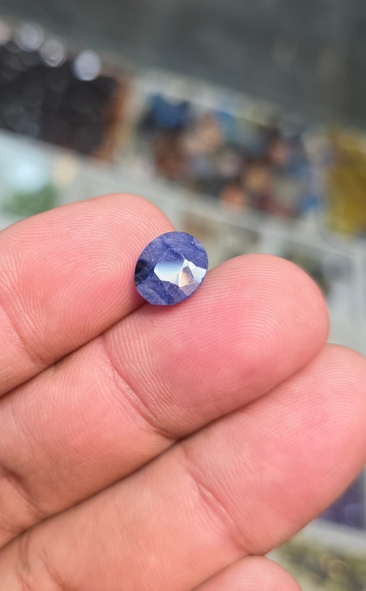 Neelam 4.95 CRT - Image 4
