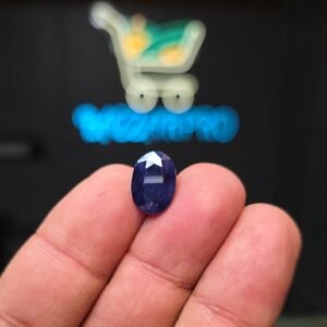 Neelam 9.95 CRT
